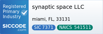 synaptic space LLC, SIC Code 7371, NAICS Code 541511