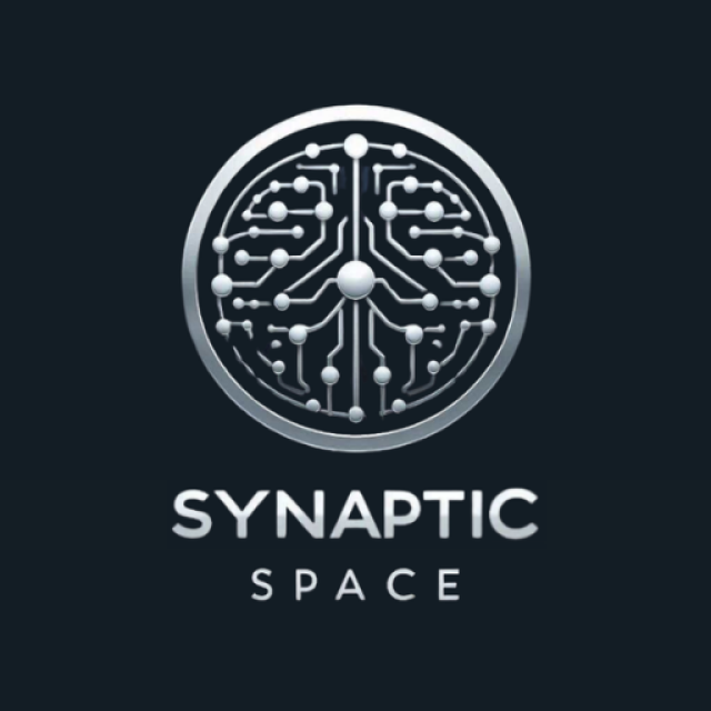 synaptic space LLC, SIC Code 7371, NAICS Code 541511