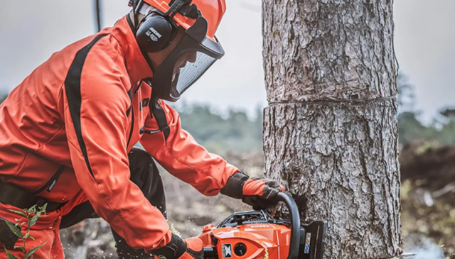 Leicester Tree Services, SIC Code 0783, NAICS Code 561730